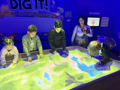 студенты играют